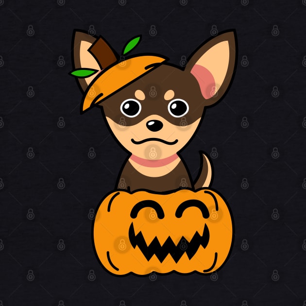 Funny small dog is in a pumpkin by Pet Station